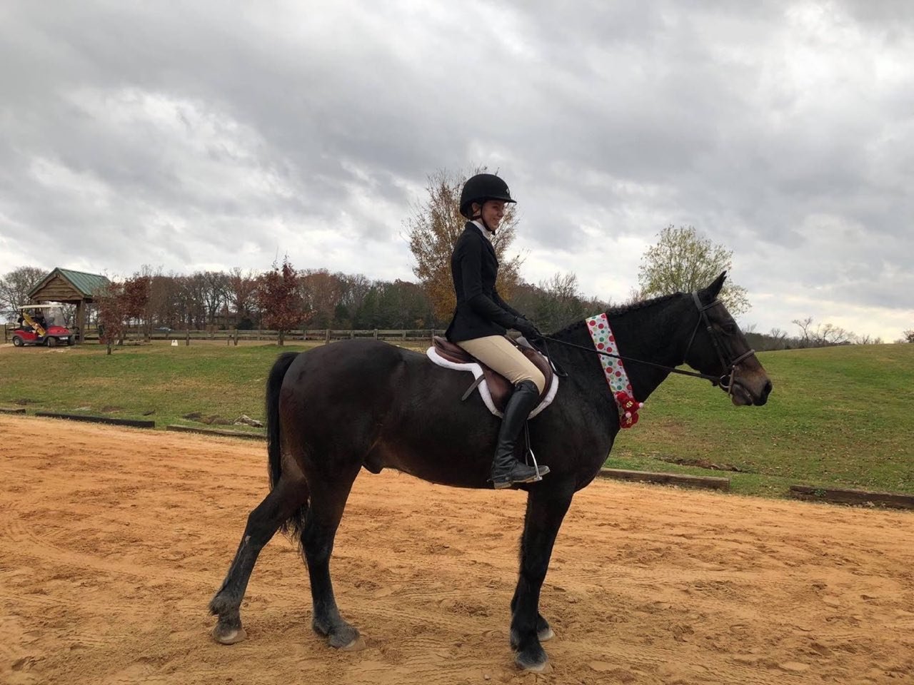 Grass Riding & Jumping Fields